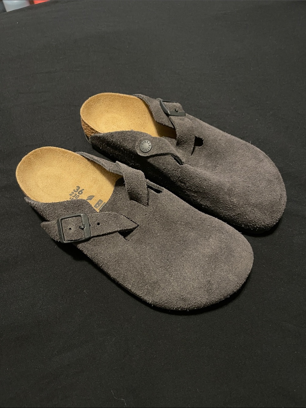 Dark grey Bostons
